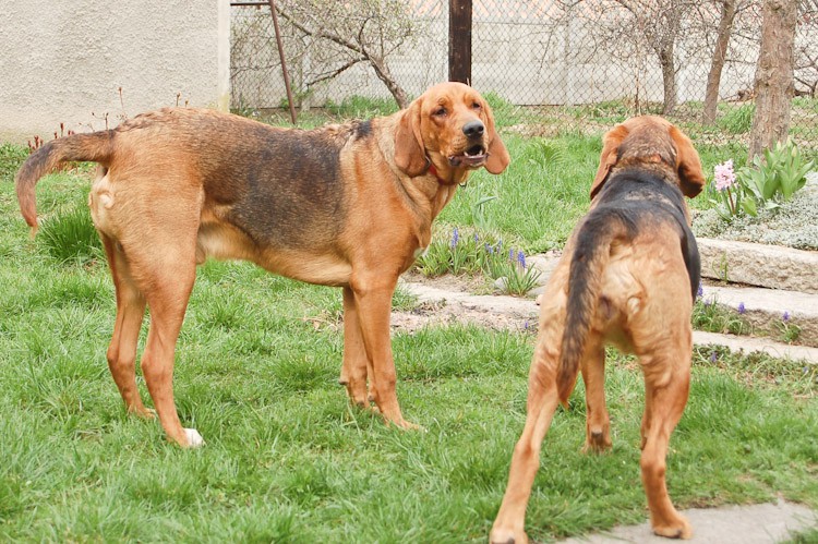 Calveciki (91 of 76).jpg
