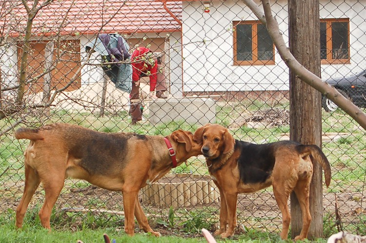 Calveciki (94 of 76).jpg
