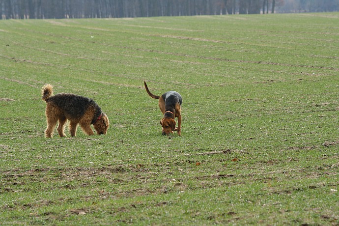 Ktoś tu był przed nami...