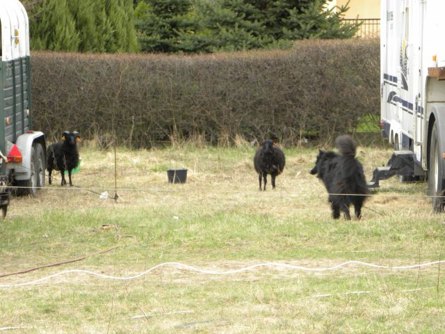 Obraz 042.jpg