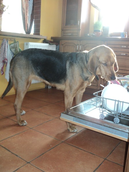 DSC01735 (450 x 600).jpg