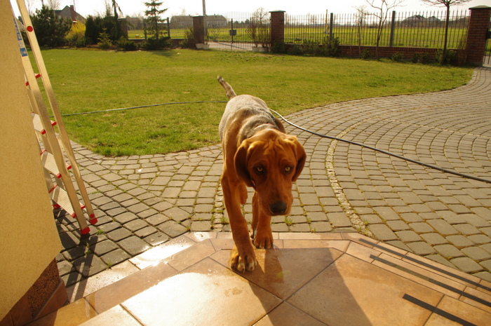 IMGP2792.JPG