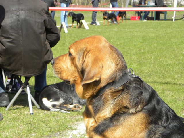Obraz 038.jpg