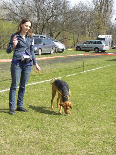 Cyga, zdaniem sędzi, ponoć trochę mało masy.