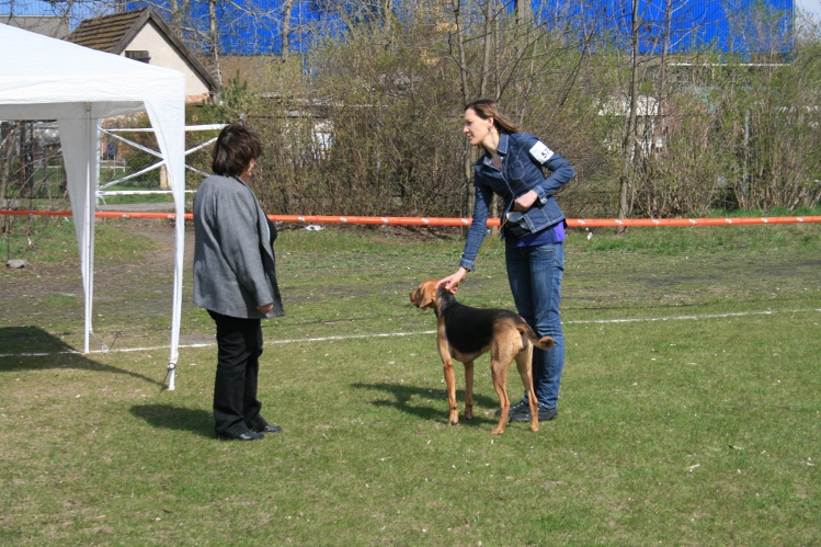 IMG_0006.JPG