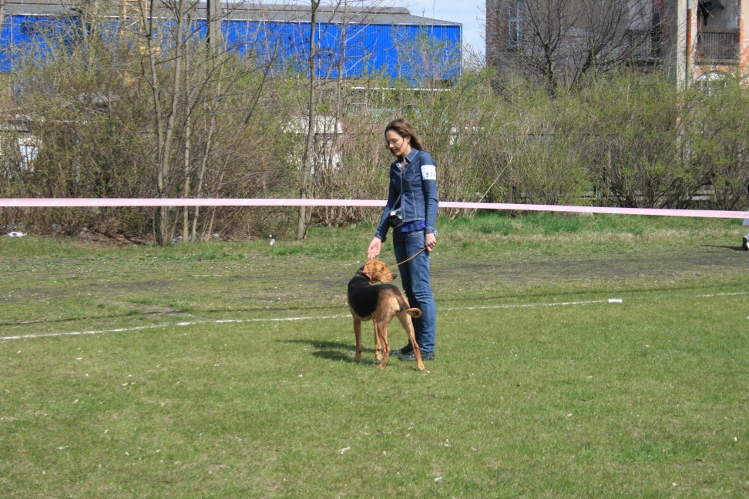 IMG_0012.JPG