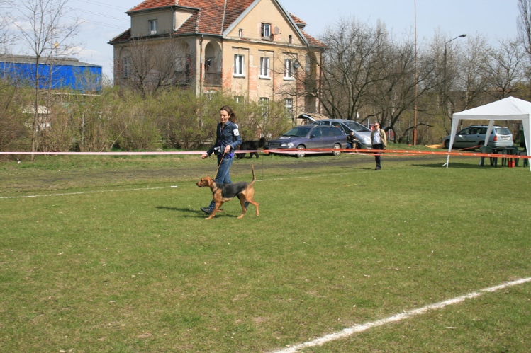 IMG_0011.JPG