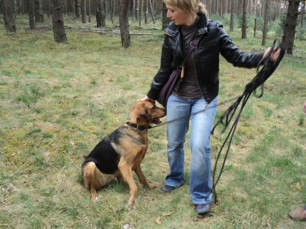 ...a jak się ustawię to dostanę nagrodę?