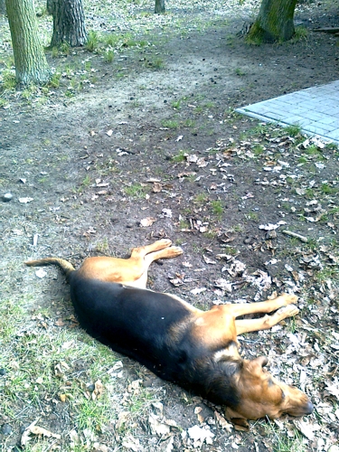 ...i regeneracja duchowa.