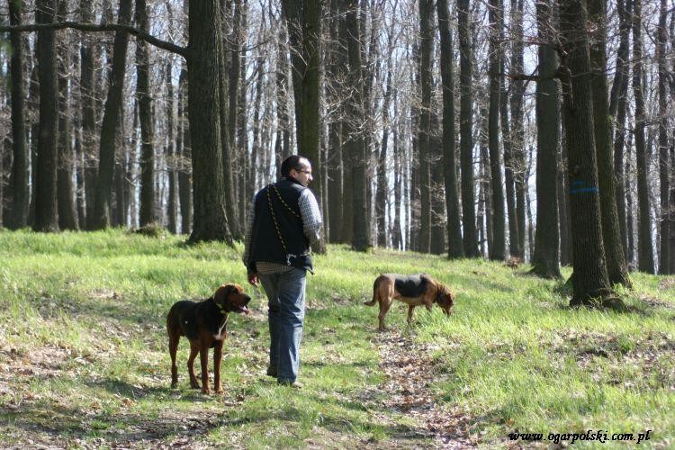 Ja się nacieszyć nie mogę tą soczystą trawką, oni się zachwycają widokiem i lasem.
