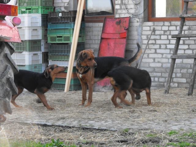 DSCF5008.JPG