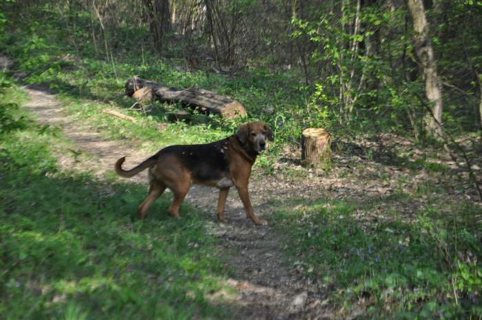 I znów spokojnie