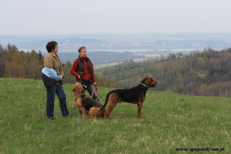 Oni mogą tak godzinami patrzeć na te widoki ;), w tle zbiornik Kozielno i Topola.