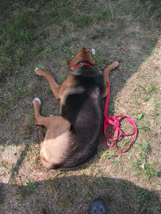 jak zwykle Sabcia ma wszystko w nosie :)
