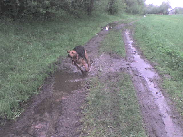 DSC00014.JPG