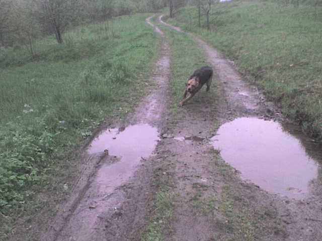 DSC00015.JPG