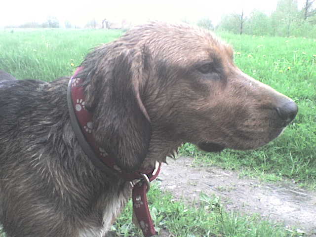 DSC00010.JPG