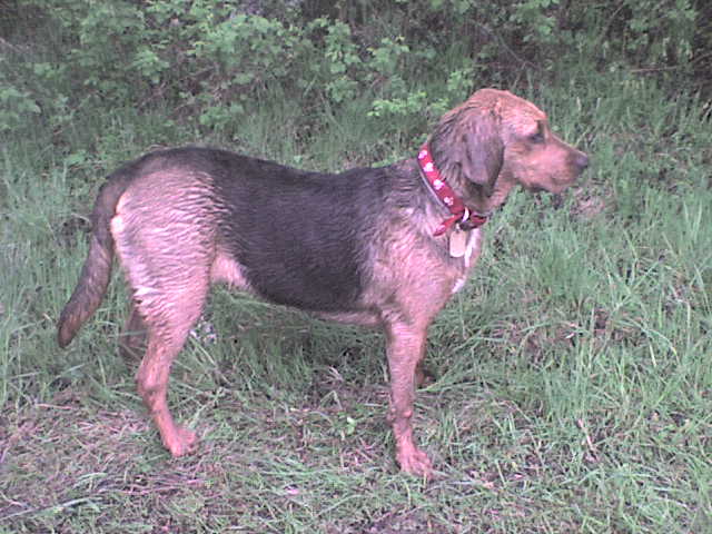 DSC00007.JPG