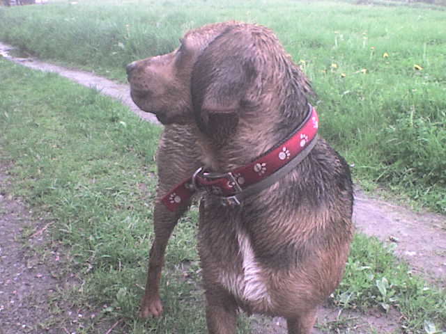DSC00011.JPG
