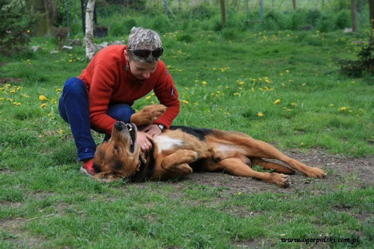 i kocham mizianie.