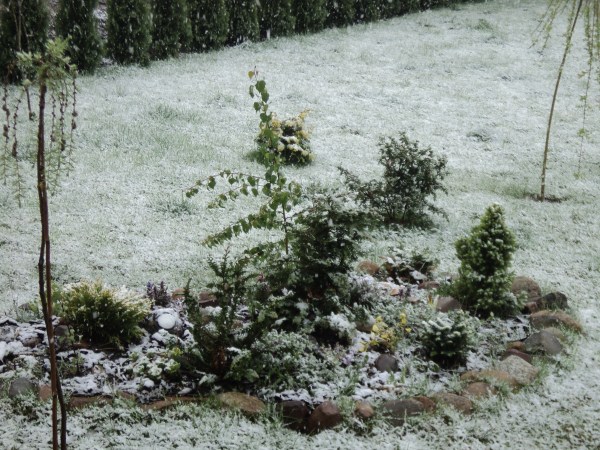 DSC01974 (600 x 450).jpg
