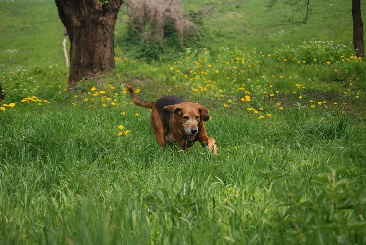 DSC_2627.JPG