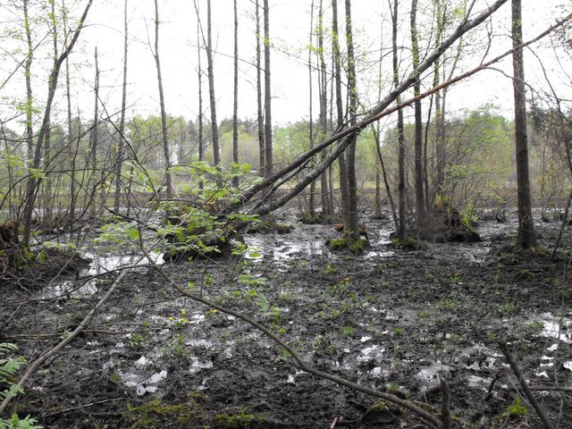 DSCF5068.JPG