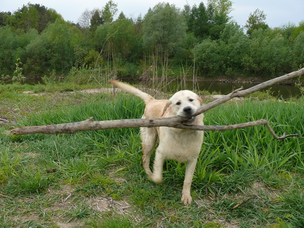 - Mój ci on!