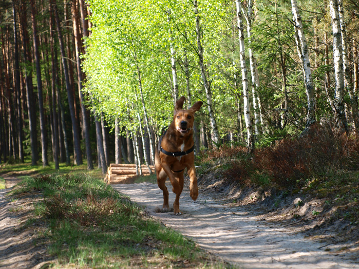 P4304282.JPG