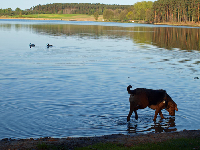 P4304269.JPG