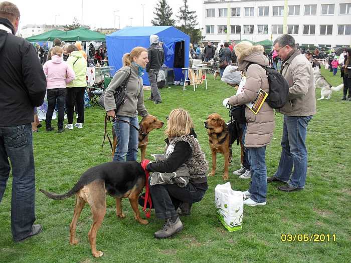 Nasze OGARY piękne są :)