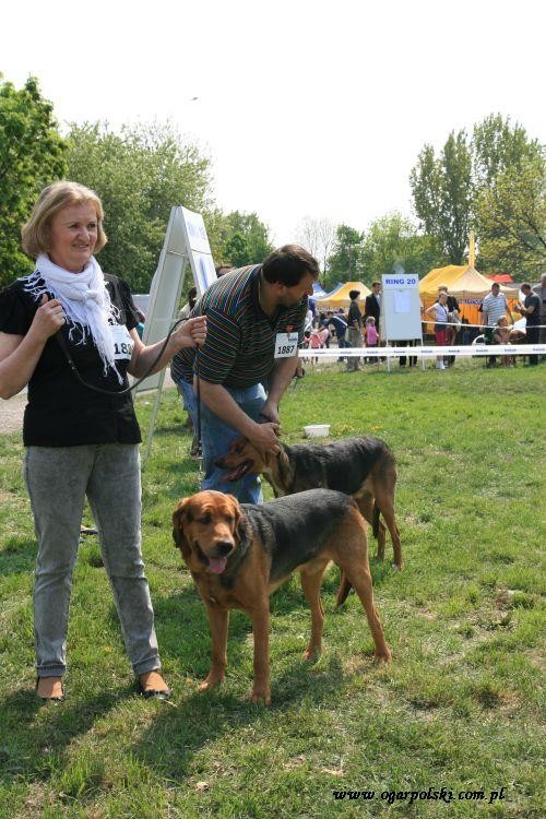 Sokół/Uchaty