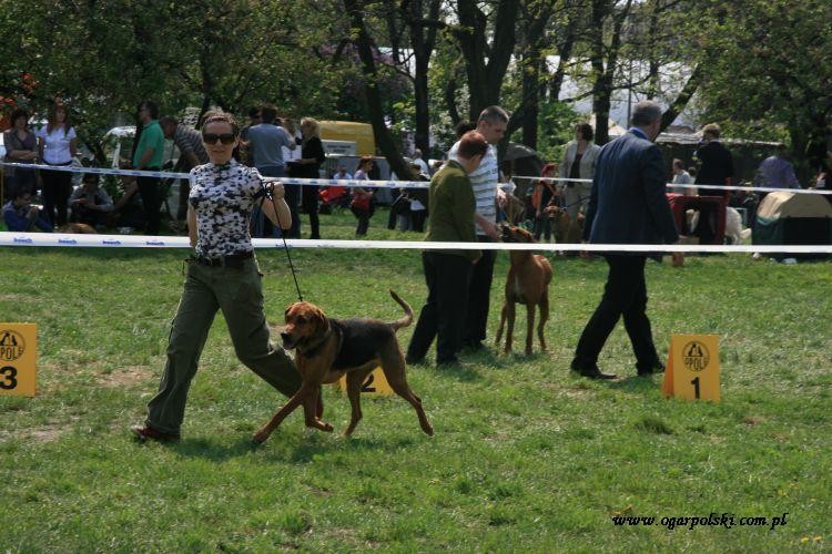Minuta z pańcią