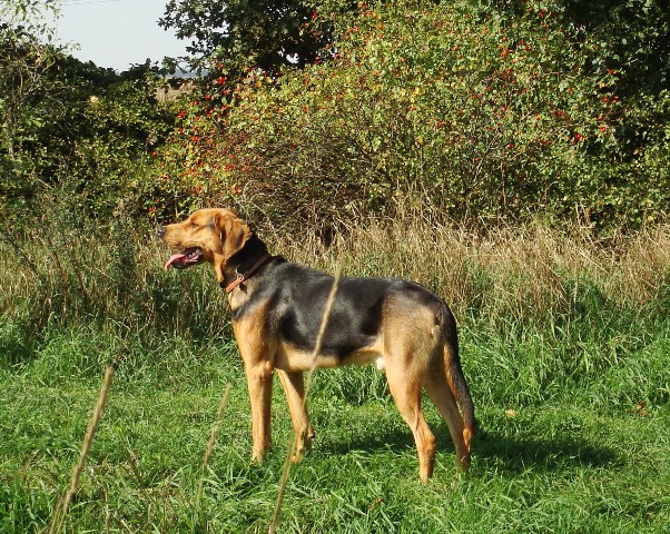 small DSC03704.JPG