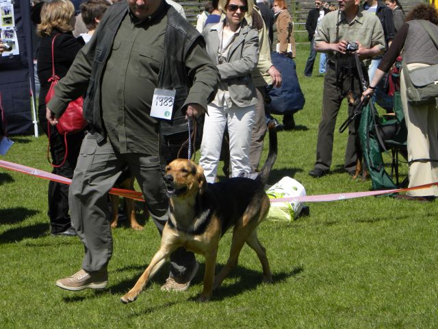 Obraz 145.jpg