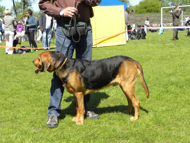 Obraz 149.jpg