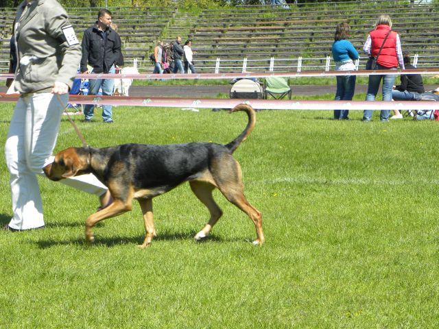 Obraz 173.jpg
