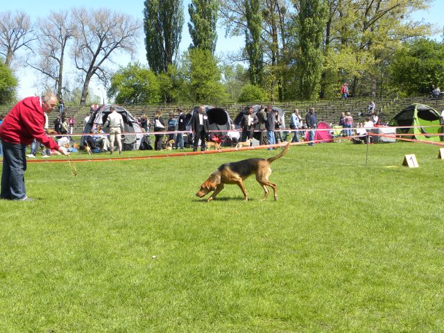 Fuga