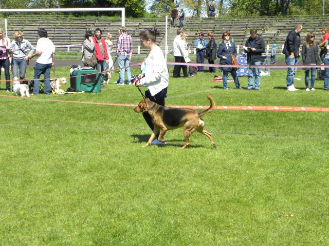 Jota