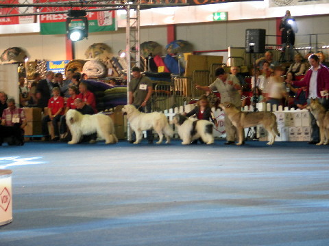218_1867.JPG