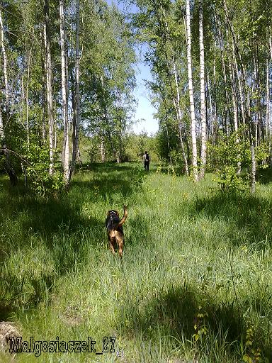 090520112908.jpg