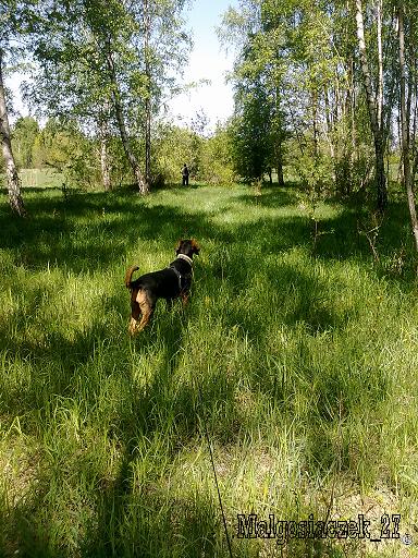 090520112910.jpg