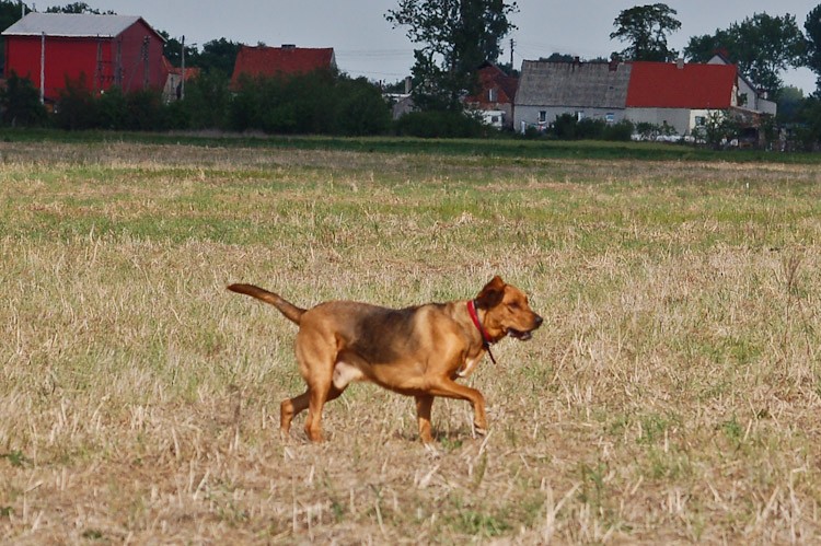 Calveciki-702.jpg