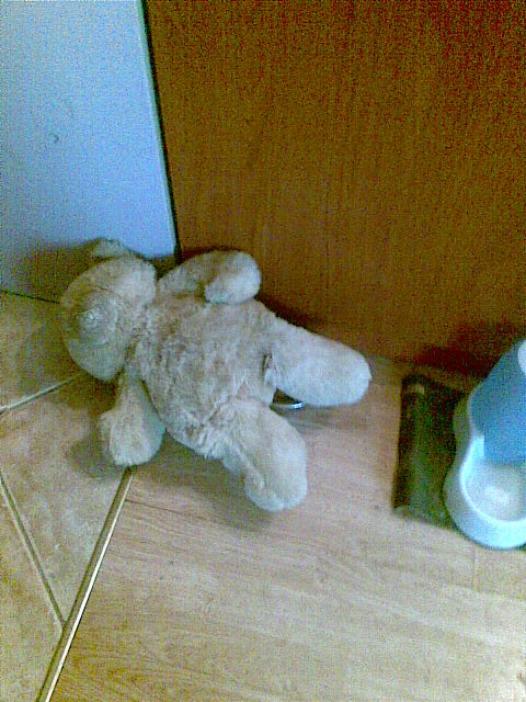 19.05.2009178.jpg