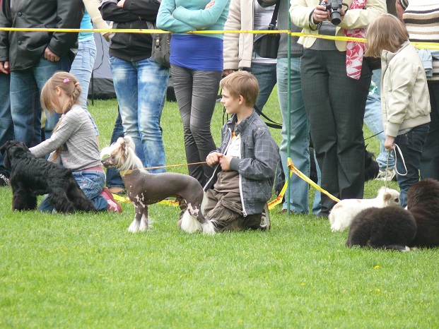 A w konkursie &quot;Dziecko i pies&quot; nasi dębiccy znajomi.
