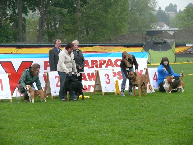 I zwycięzcy grupy.