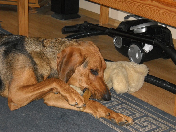DSCN1439.JPG
