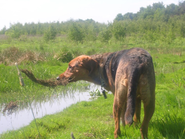 zabawa...eee... no... czymś tam... fajnie się majtało, w każdym razie...