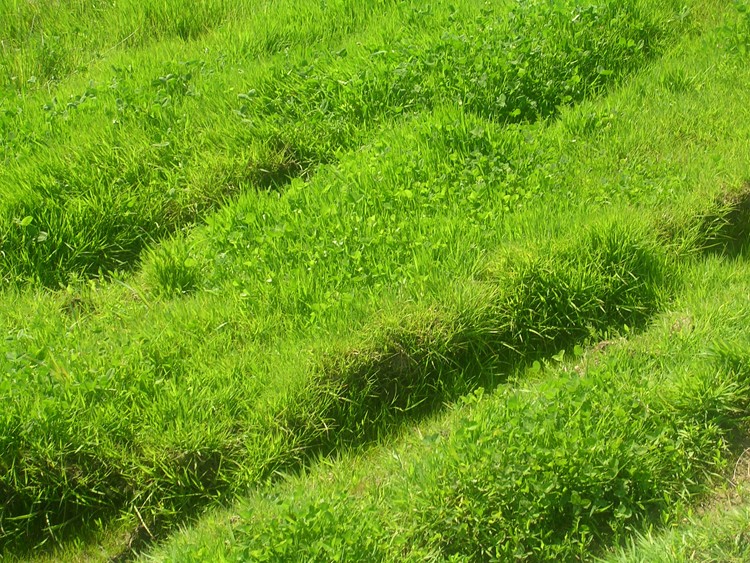 Pięknie się matka natura prezentuje na rozlewiskach... po prostu bajka.
