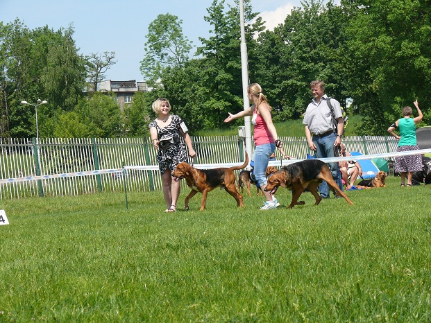 Łoskot pierwszy, Uchatek drugi, ale obydwa - doskonałe!